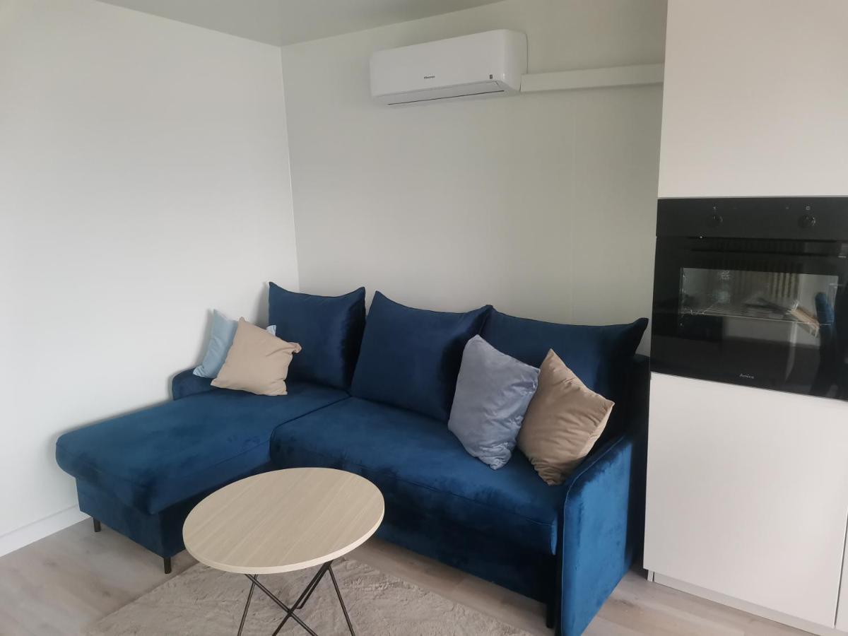Wilcza Przystań Apartament Borzygniew